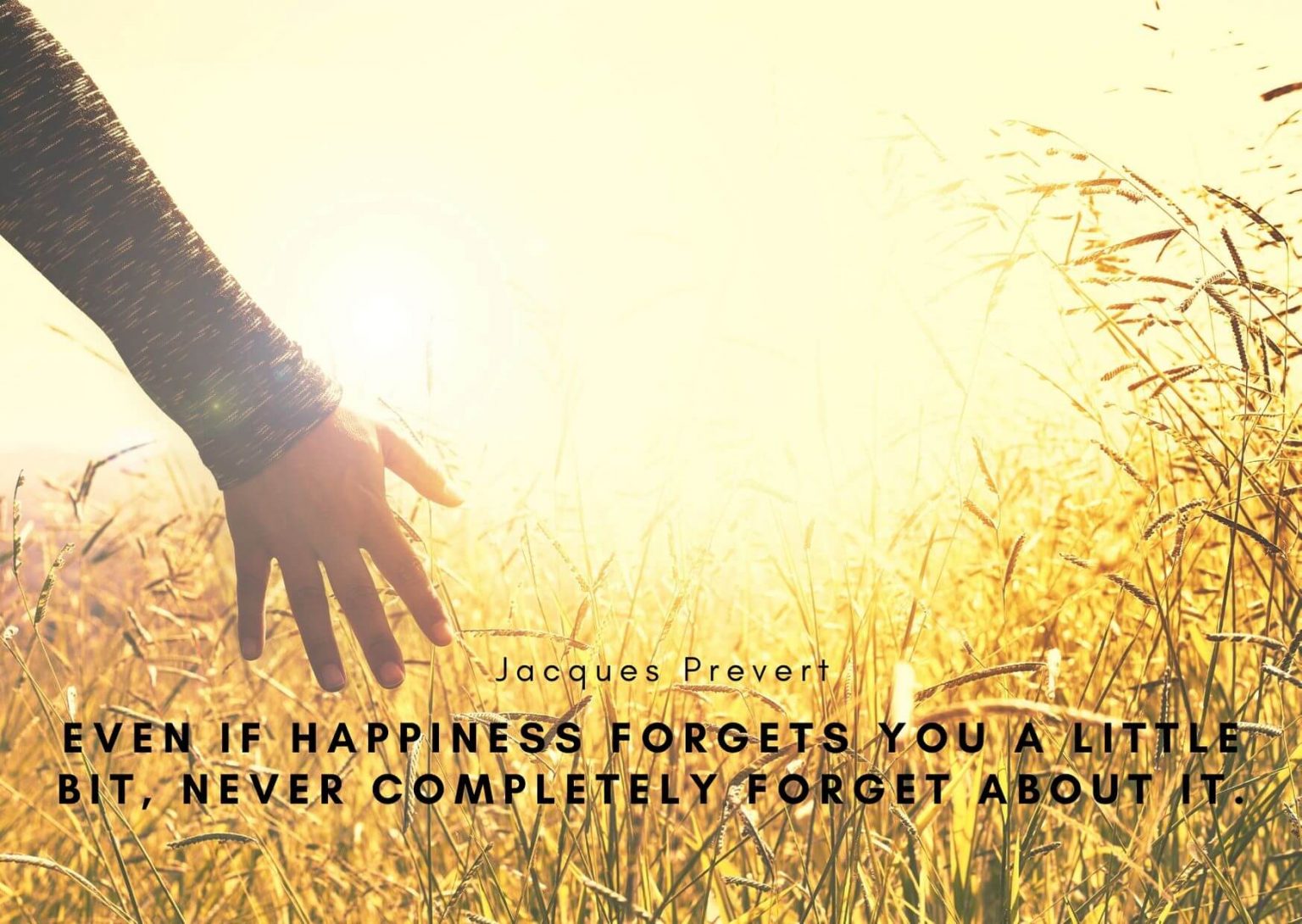 81 Best Depression And Anxiety Quotes To Cherish Your Mood [Updated]