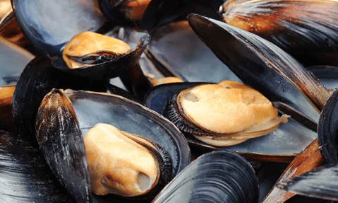 Mussels great food to fight depression