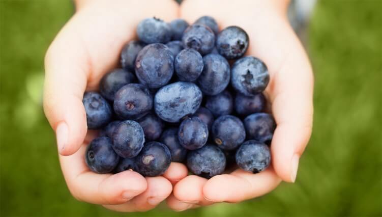 handful-of-blueberries