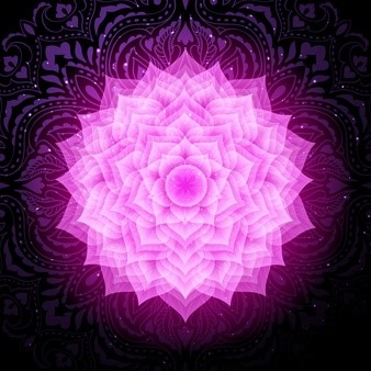 the Crown Chakra