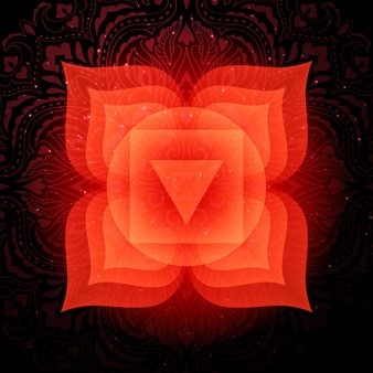 the Root Chakra