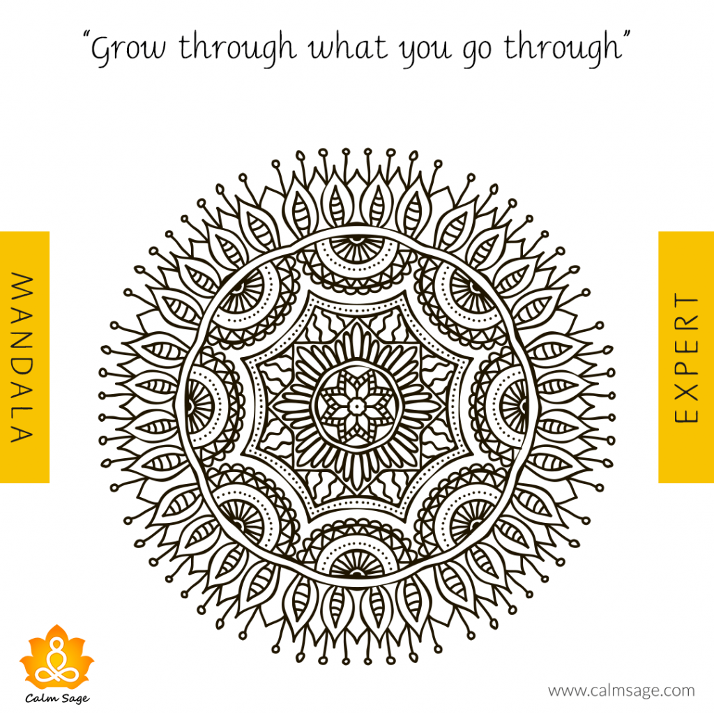 expert - Grow Through What you go Through