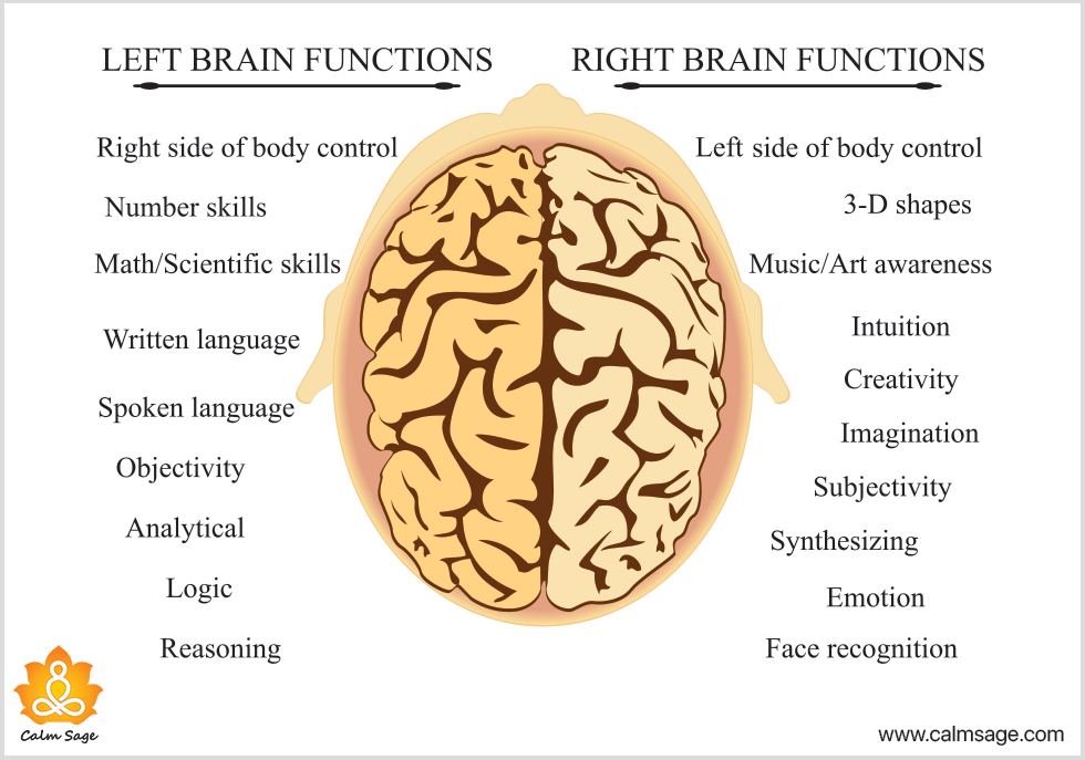 The Truth About Logical Left-Brainers vs. Creative Right-Brainers