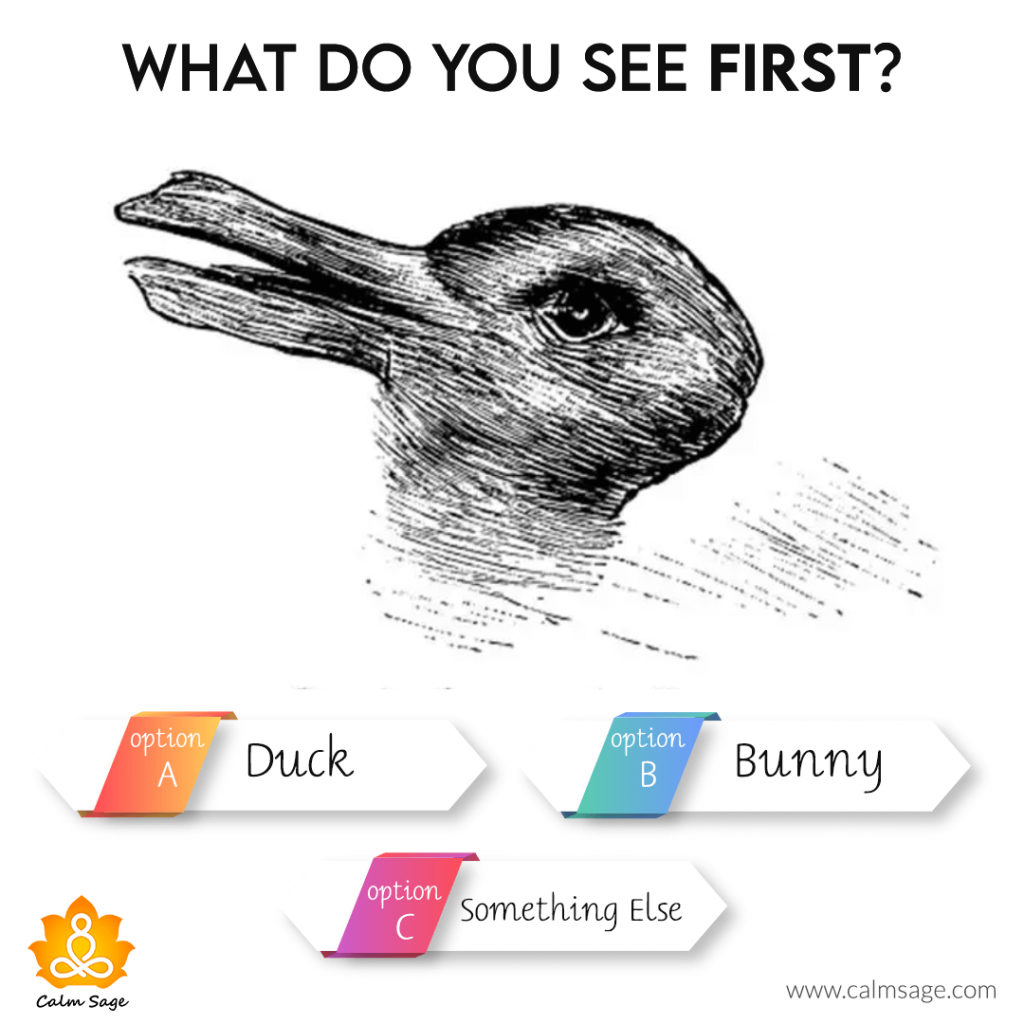 what do you see first a duck, a bunny or something else