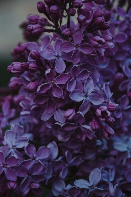 A Bunch Of Lilac Flowers, calm wallpaper for phone