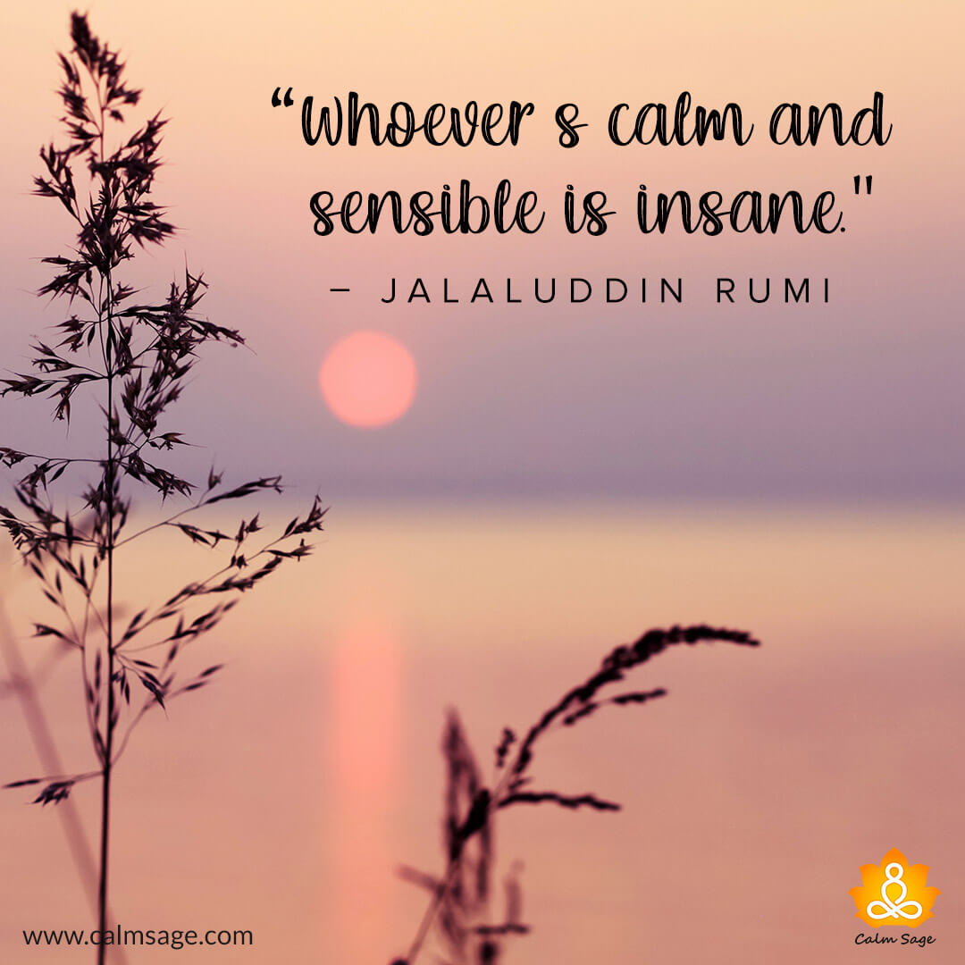 Calm People Quotes