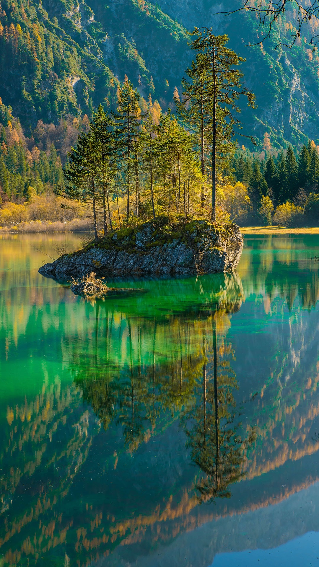 River Surrounded By Pine Trees And Mountain