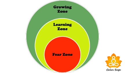 fear zone, learning zone and growth zone