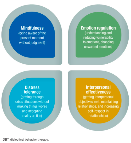 Modules of Dialectical Behavior Therapy