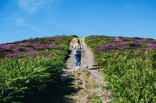 a Walk In The Nature