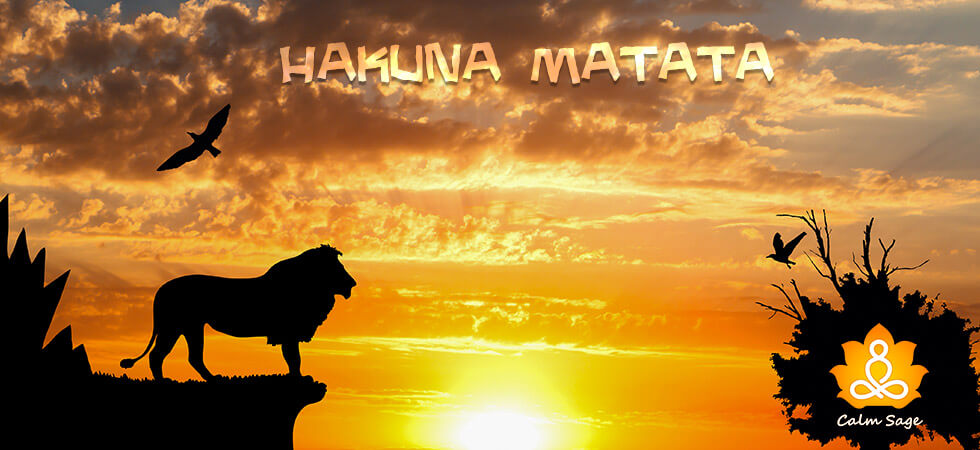 what hakuna matata means