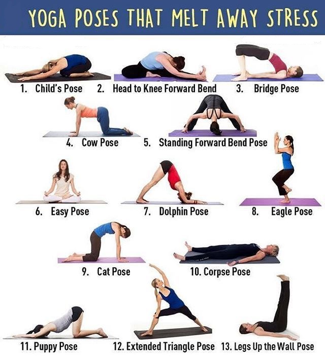 Yoga Poses For Weight Loss That Work Effectively