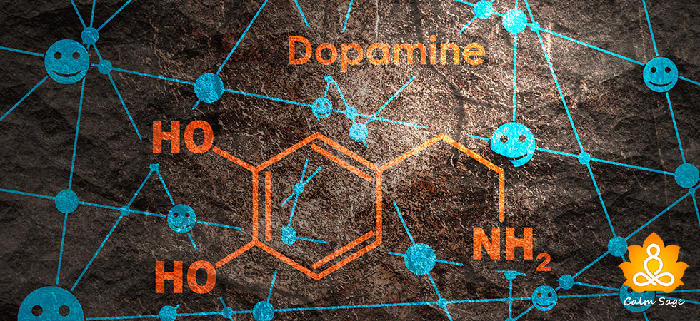 Dopamine Fasting