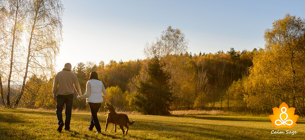 Does walking really improve mental health