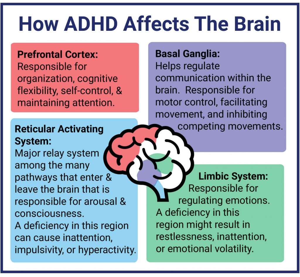 ADHD: Signs, Symptoms, and Causes