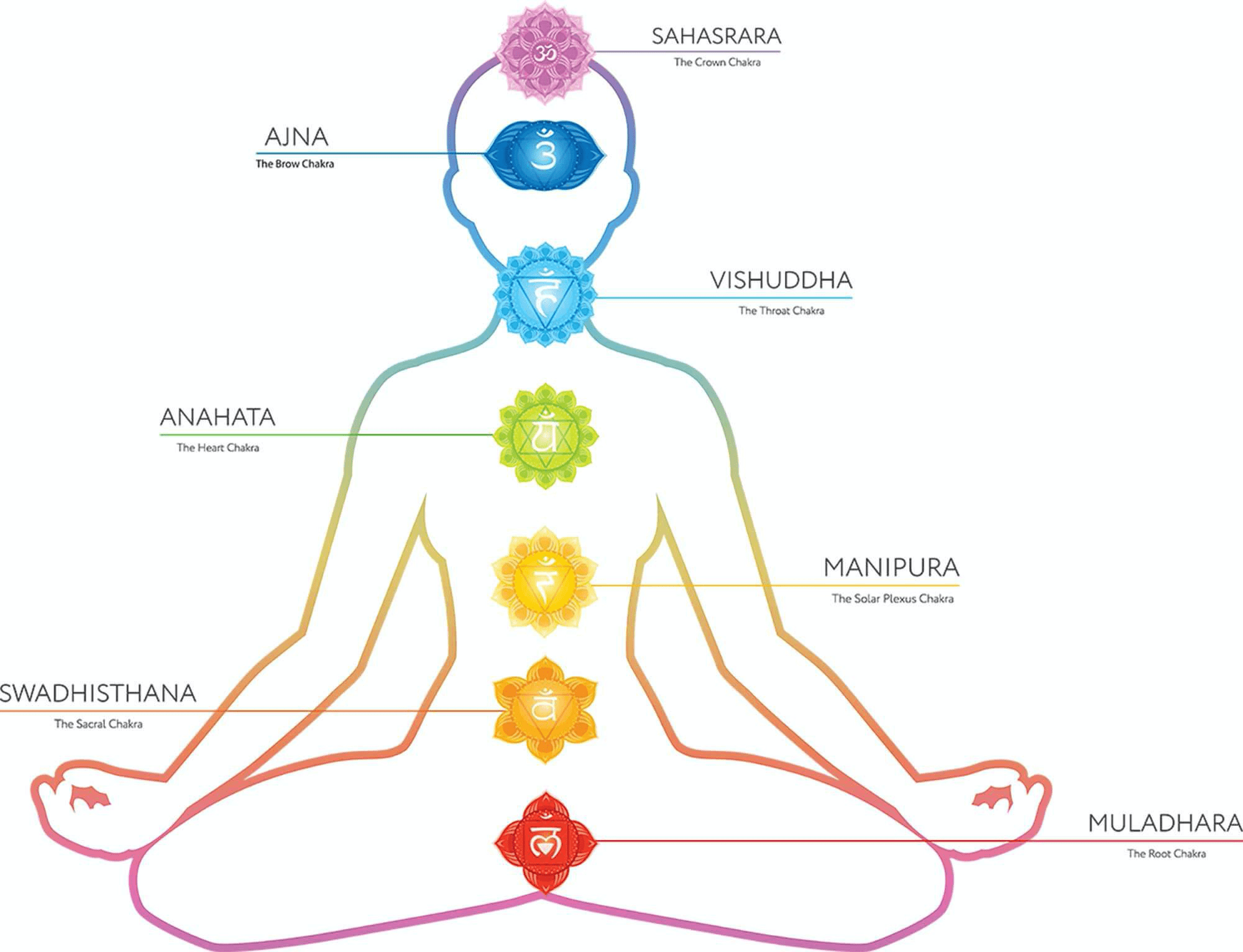 Guide Me 13 Most Popular Types Of Yoga Before You Join Yoga Classes