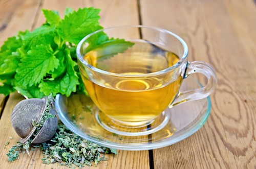 Lemon Balm Tea