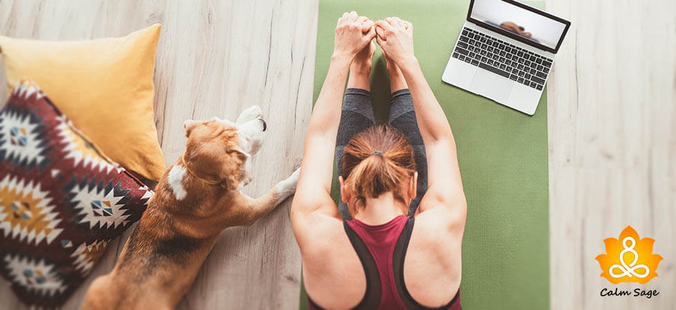 Yoga apps for Beginner people