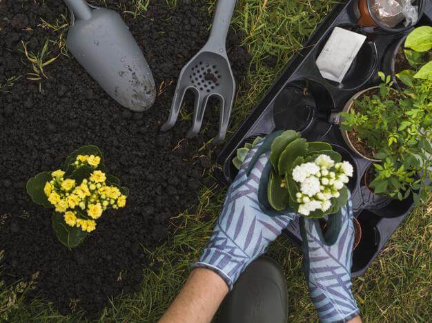 work in The Garden