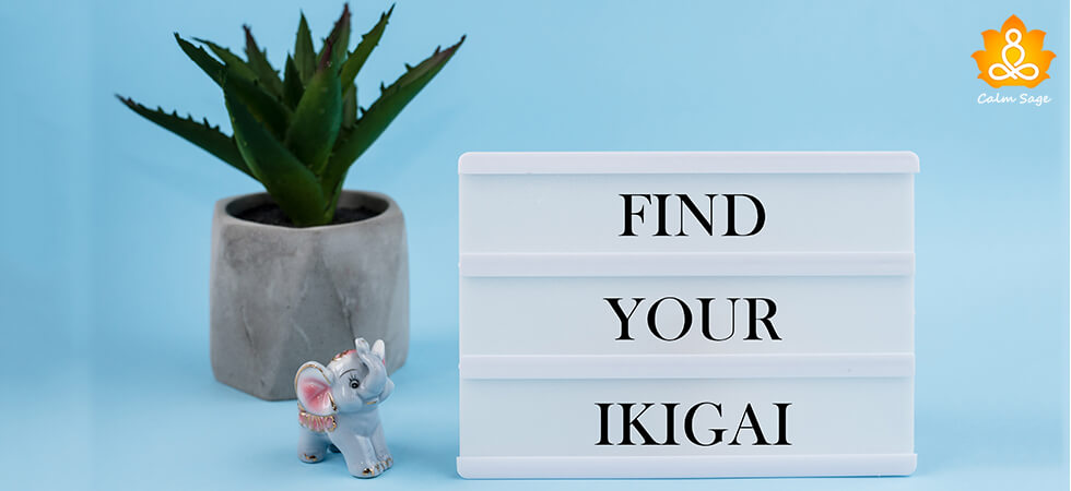 Ikigai A Way To Find Your Purpose and Passion In Life