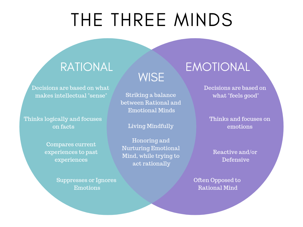 emotional vs rational decision making