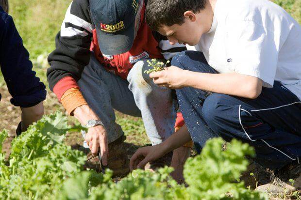 Care Farming