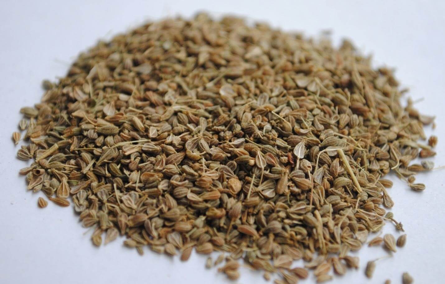 Flax Seeds, medicinal plants and their uses