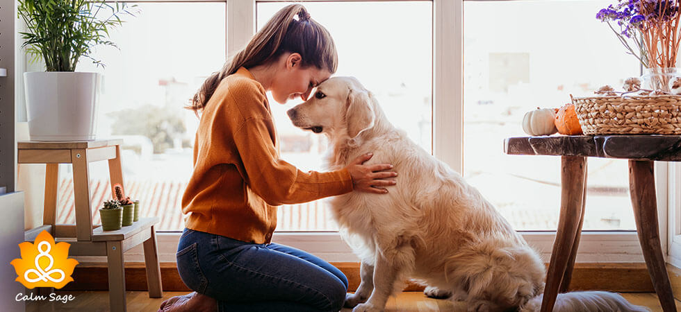 Understanding Pet Therapy