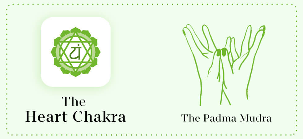 the heart chakra