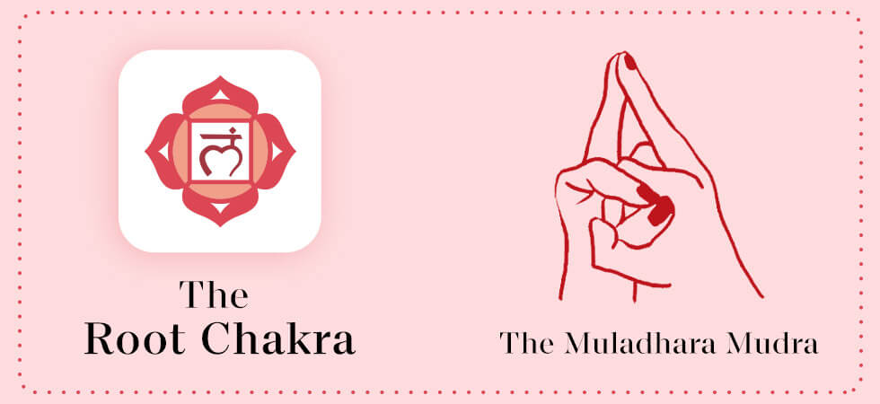 the root chakra