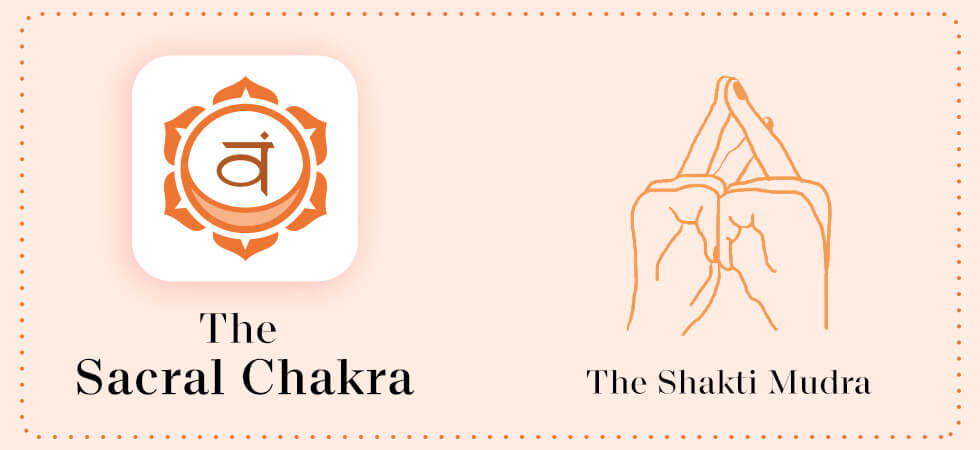 the sacral chakra