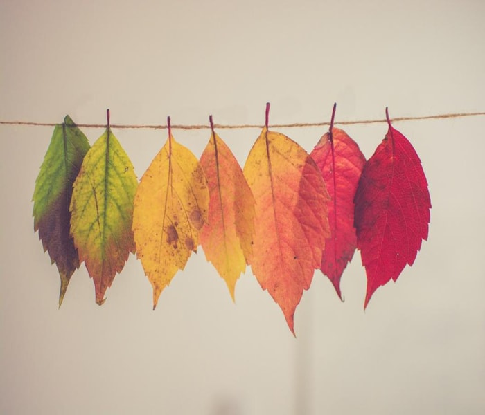 Seasonal Affective Disorder