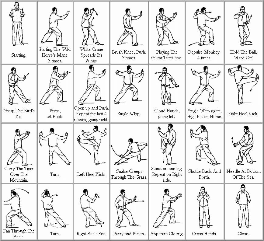 Tai chi styles