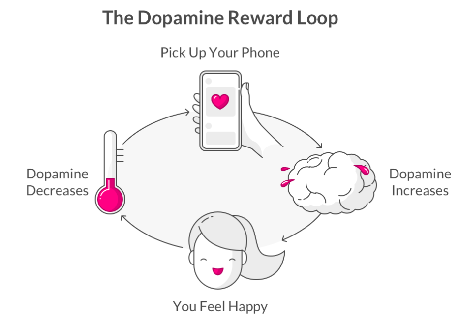 dopamine reward loop