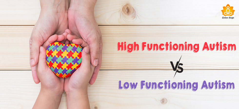 High Functioning Autism vs. Low Functioning Autism