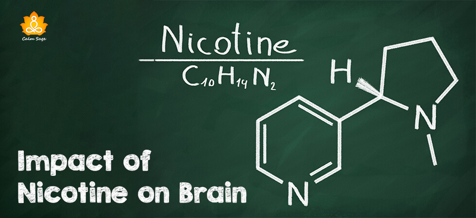 Impact of Nicotine on Brain