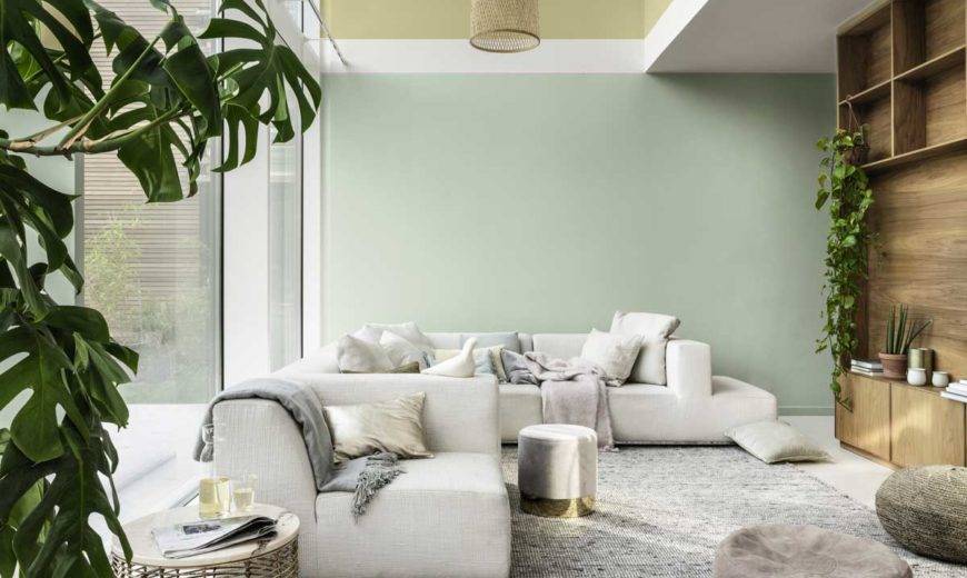 Pistachio Green for aesthetic