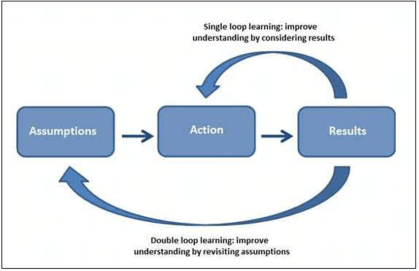 Single Loop Learning vs double Loop Learning