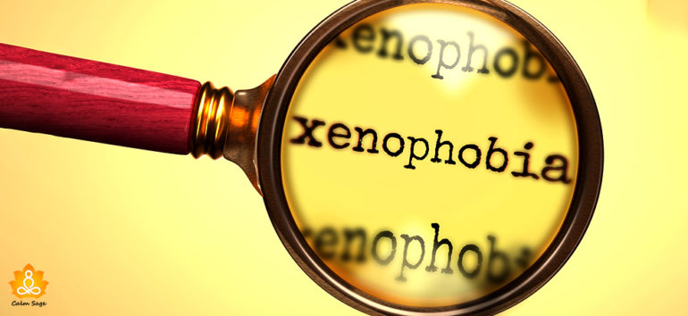 research articles on xenophobia