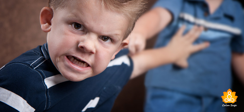 Aggression In Children