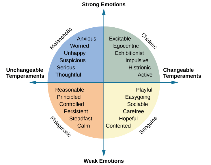 Four Types Of Temperament