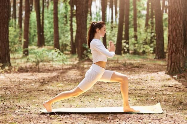 History Of International Yoga Day