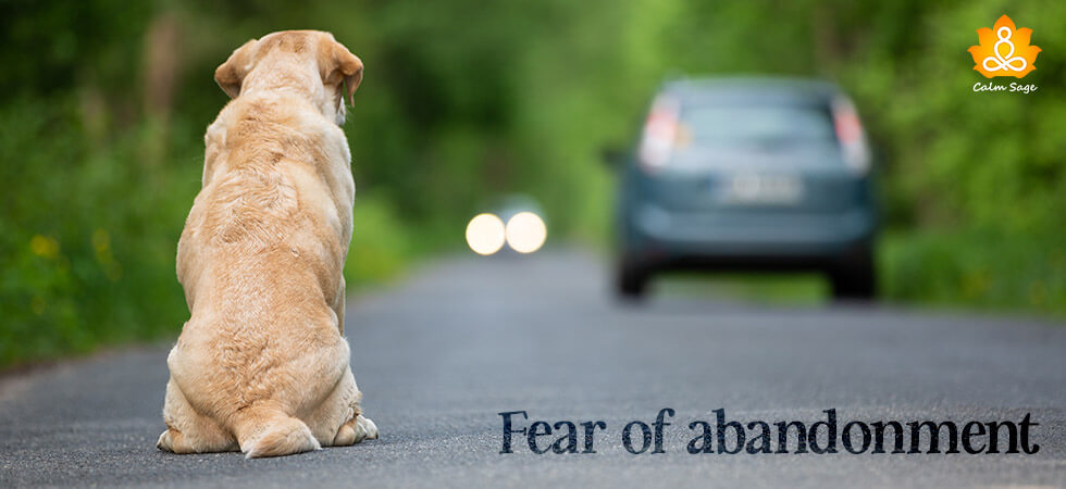 Fear of abandonment