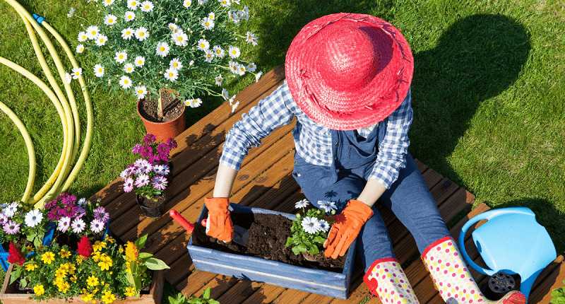 gardening help you with mindfulness