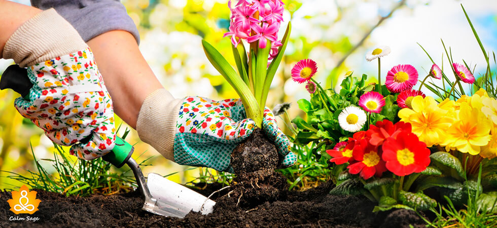 mental health benefits of gardening