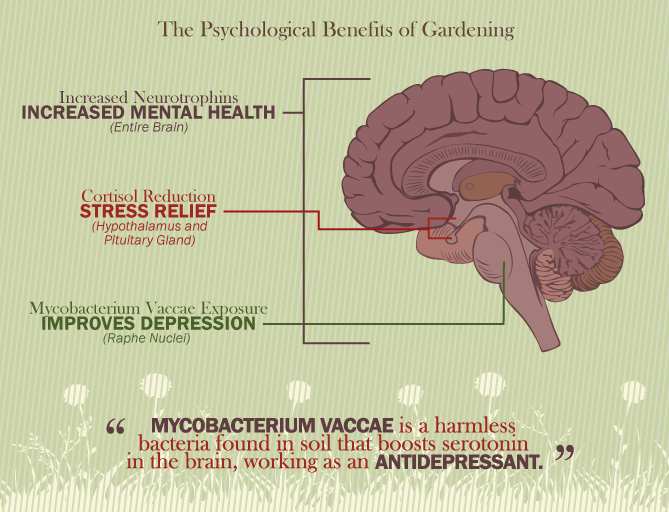 psychological benefits of gardening