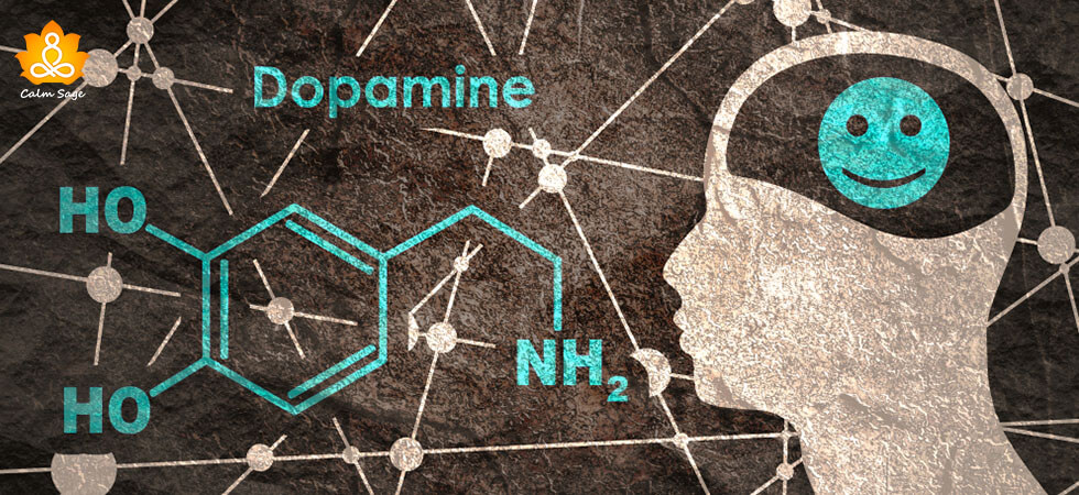 How Does Dopamine Help Increase motivation