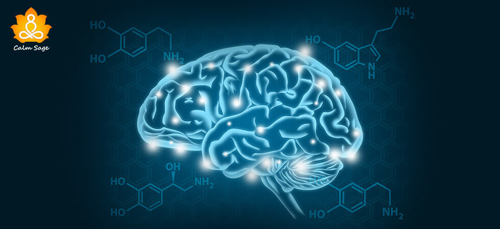 What-Is-The-Role-Of-Dopamine-In-Consciousness