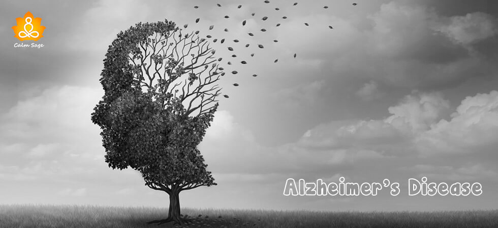 Alzheimer’s Disease