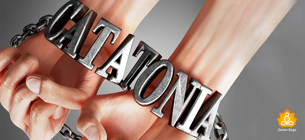 Understanding Catatonia A Grossly Disorganized Behavior